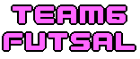 team6 FUTSAL